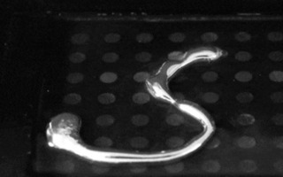 8F1BC3B5-A0DE-441B-9147-280B9FF17B5D.jpeg