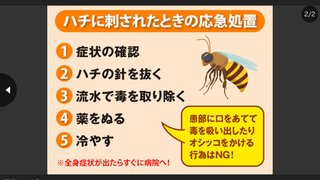 E644674E-1750-4033-81E7-AD214A5945D8.png